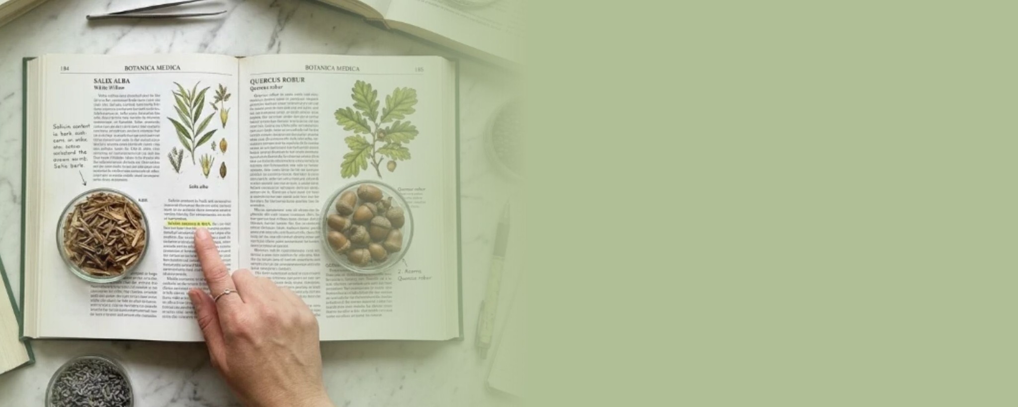 Open botanical reference books with dried plant material